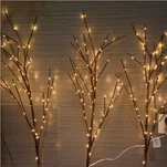 LED apgaismoti koku zari